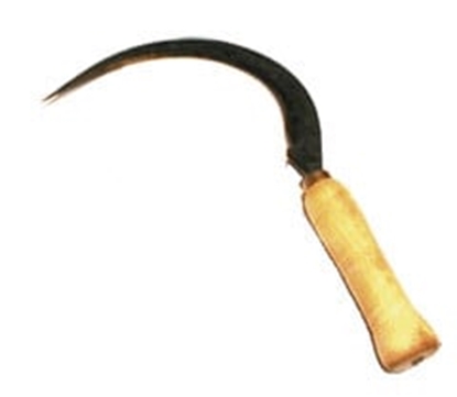 Изображение Sierp zbkowany NIWIARZ 300mm