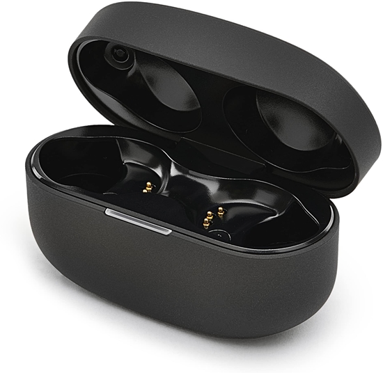 Picture of Sony Charging Case Black WF-1000XM4