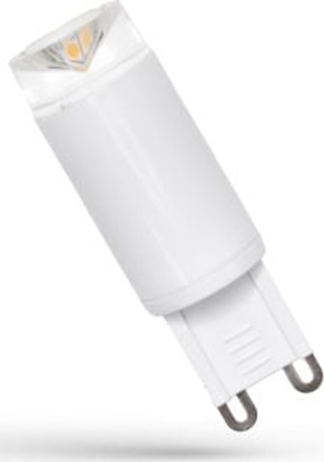 Attēls no Spectrum LED G9, 230V, 3W, CW, ceramiczna (WOJ13064)