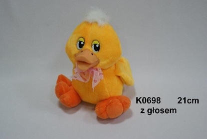 Picture of Sun-Day Kaczka z gosem - K0698