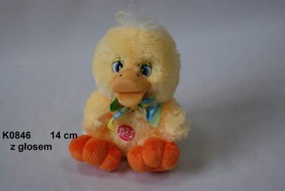 Attēls no Sun-Day Kaczka z gosem - K0846