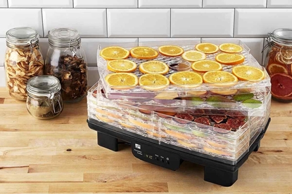 Изображение Suszarka G21 Paradiso Big