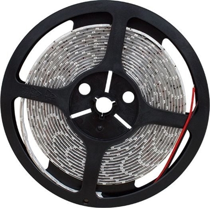 Picture of Tama LED Abilite SMD2835 5m 60szt./m 4.8W/m 12V  (5901583547010)