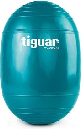 Изображение Tiguar Pika do wicze Ovoball 16.5cm turkusowa (TI-V001M)