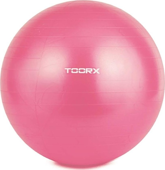 Picture of Toorx Gimnast. kamuolys 55cm TOORX AHF-069 su pompa