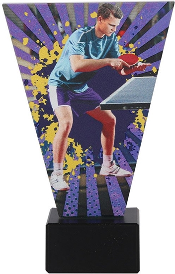 Picture of Tryumf Trofeum szklane