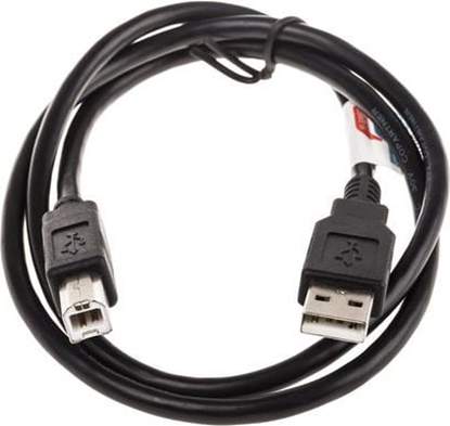 Picture of USB 2.0 kabelis A-B, M/M, melns, 0.8m, Roline