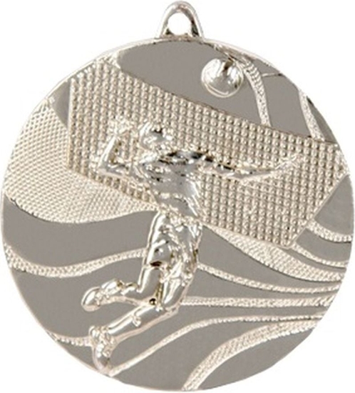 Picture of Victoria Sport Medal srebrny- siatkówka