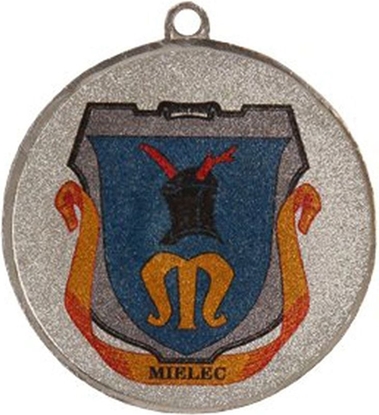 Изображение Victoria Sport Medal srebrny z miejscem na emblemat 50 mm - medal stalowy z nadrukiem luxor jet