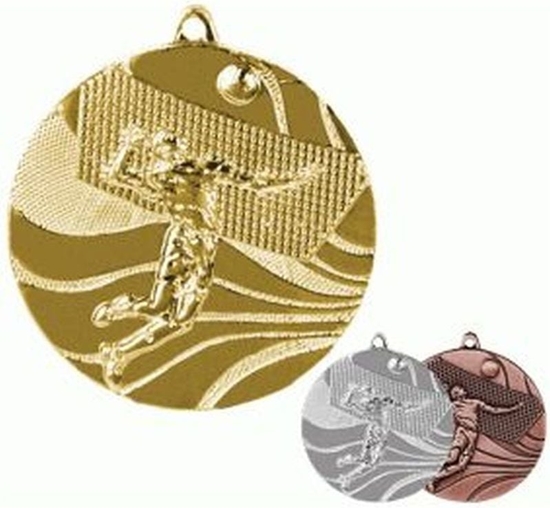Picture of Victoria Sport Medal zoty- siatkówka