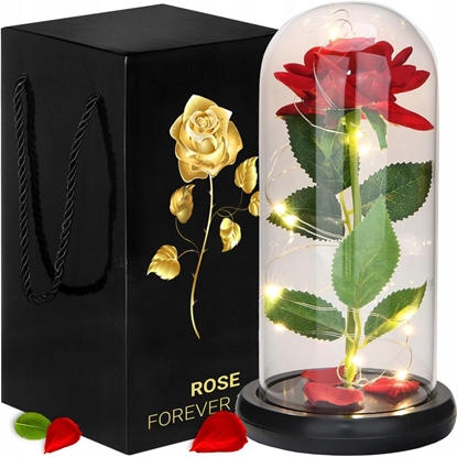 Attēls no Wieczna róa czerwona, ozdobna z podwietleniem