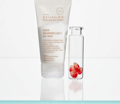 Изображение Ziaja Naturalnie Pielgnujemy regenerujcy krem na noc 50 ml