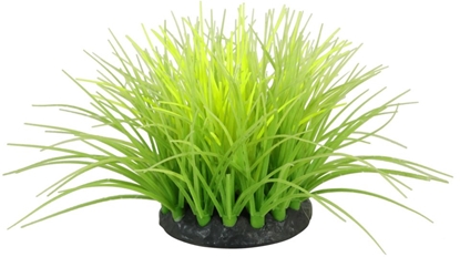 Изображение Zolux Ozdoba do akwarium FLOWERS zielono-óta fluorescencyjna