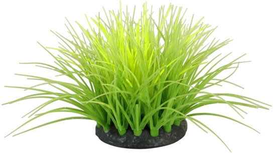 Изображение Zolux Ozdoba do akwarium FLOWERS zielono-óta fluorescencyjna