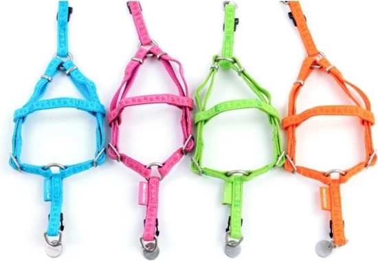 Picture of Zolux Szelki regulowane Mac Leather 10 mm - seledynowy