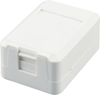 Picture of Equip 1-Port Keystone Jack Surface Mount Box