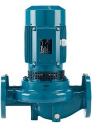 Attēls no Sūknis NR 50/125A/B 2,2kW 380V Calpeda