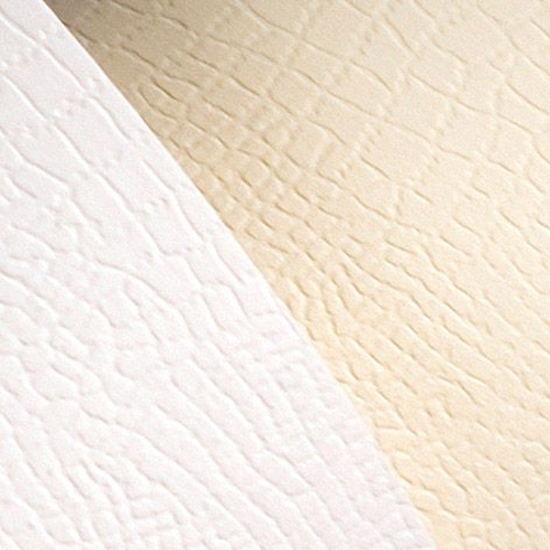 Picture of Argo Karton ozdobny A4 Borneo biay