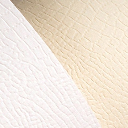 Picture of Argo Papier ozdobny Galeria Papieru borneo kremowy A4 kremowy 220g 20 ark