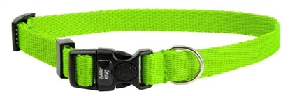 Picture of Barry King Classic obroa dla psa, cytrynowy, XS-S, 10mm/20-25cm