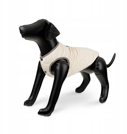 Picture of Barry King Kurtka dla psa beowa, szare wykoczenia, pikowana, rozmiar S, 35