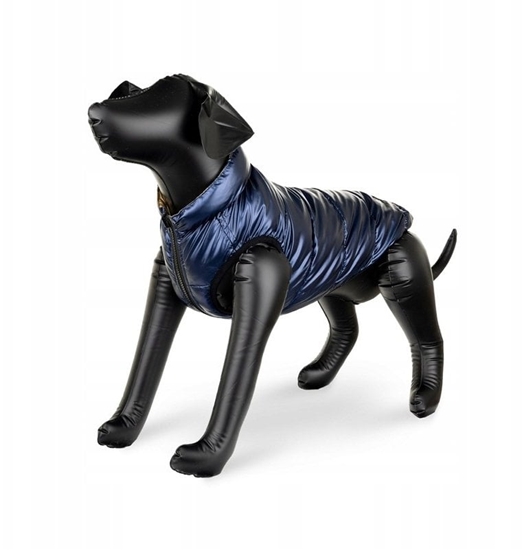 Picture of Barry King Kurtka dla psa granatowo-zota dwustronna rozmiar S 35