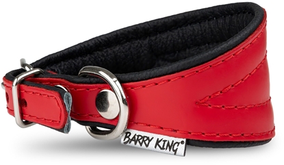 Picture of Barry King Obroa dla psa, wzór charta, 50MM/30CM czerwona