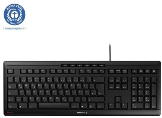 Изображение CHERRY JK-8500SL-2 klawiatura Dom/Biuro USB QWERTZ Soweski Czarny