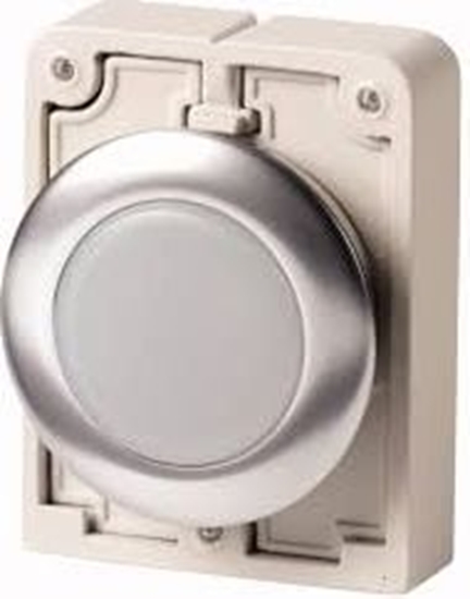 Picture of Eaton Gówka lampki sygnalizacyjnej 30mm paska biaa M30C-FL-W (183287)