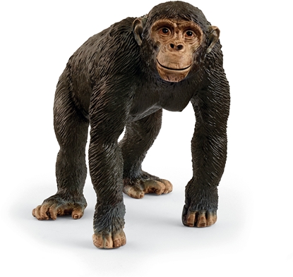 Picture of Figurka Schleich WILD LIFE 14883 figurka dla dzieci