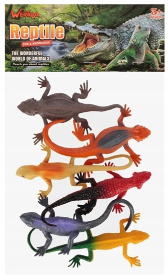 Picture of JASZCZURKA 6SZT 18X21 MIX MC PBH 240