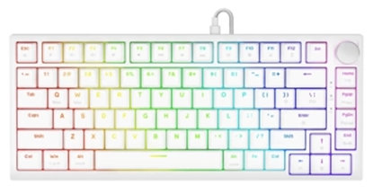 Attēls no Klaviatūra Savio Gasket magnetic ASTRAL OUTEMU White Jade White