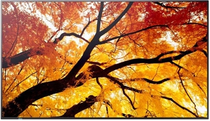 Picture of M982 98IN UHD LFD D-LED