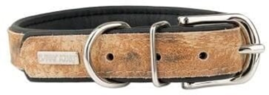 Picture of Obroa dla psa, LION, 25mm /55cm