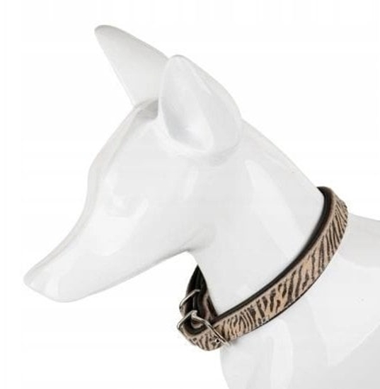 Изображение Obroa dla psa, TIGER, 16mm /41cm