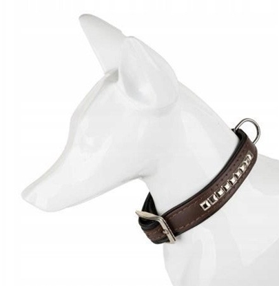 Picture of Obroa dla psa, wzr kostki, 16MM/35CM brzowa