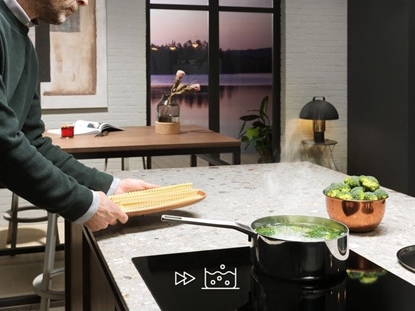 Изображение Pyta grzewcza Electrolux EIP8146