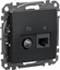 Picture of Schneider Electric GN.KOMP.TV 6UTP CZARNY ANTRA.SEDNA DES