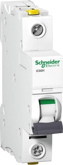 Picture of SCHNEIDER ELECTRIC IC60H CIRCUIT BREAKER 1P C25A