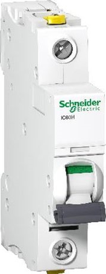 Picture of SCHNEIDER ELECTRIC IC60H CIRCUIT BREAKER 1P C2A 1
