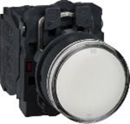 Picture of Schneider Electric Przycisk sterowniczy 22mm biay z samopowrotem z podwietleniem 1Z 1R (XB5AW31B5)