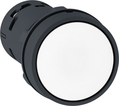 Picture of Schneider Przycisk z samopworotem biay 1NO XB7NA11