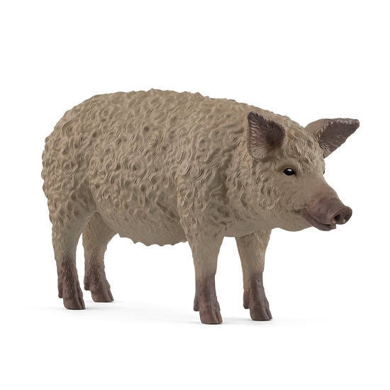 Picture of SLH mangalica FarmWorld 14892 62227