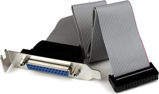 Picture of StarTech DB-25 - IDC-26, 0.4m, Szary (PLATE25F16LP)