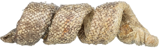 Изображение Trixie Denta Fun Curl 50x25g