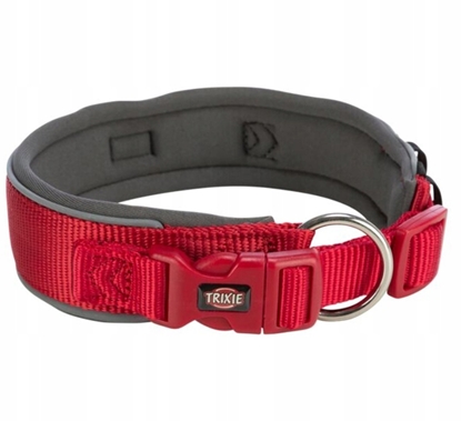 Picture of Trixie Premium obroa dla psa czerwona/grafitowa L: 4655 cm/50 mm tama parciana szeroka