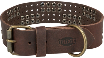 Изображение Trixie Rustic Rivet obroa dla psa z grubej skóry ciemnobrzowa XL: 5565 cm/40 mm
