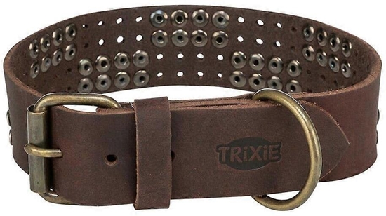 Picture of Trixie Rustic Rivet, obroa, dla psa, z grubej skóry, ciemnobrzowa, M: 3847 cm/40 mm