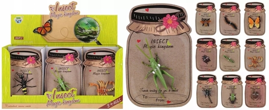 Изображение ZWIERZ INSEKTY 8X13 MIX10 MC B/C DISP 36/864