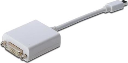 Attēls no Adapter AV Digitus DisplayPort Mini - DVI-I biay (AK-340406-001-W)